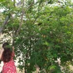 125829186_1073870973129875_5498044565786057132_n