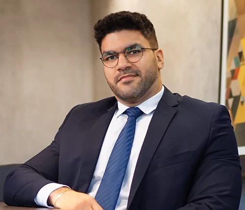 Willig Sinedino site